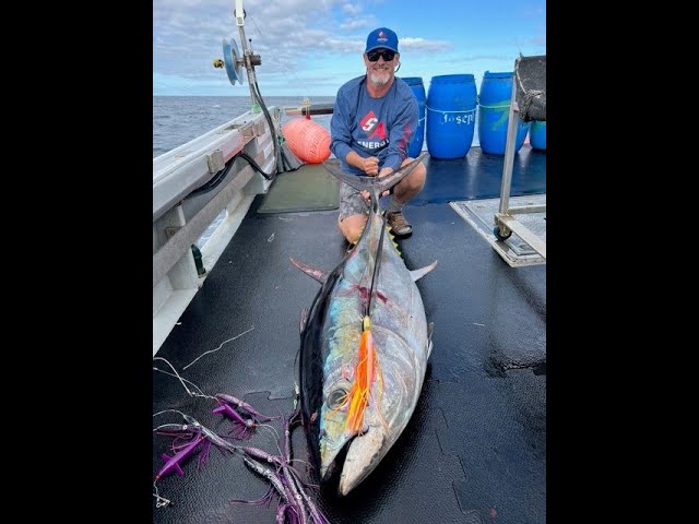 How to Catch Bluefin &yellowfin Tuna - The Tormenter Sidewinder