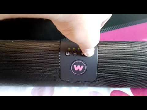 WOXTER BIG BASS BT-50