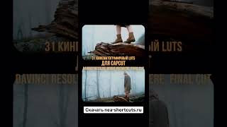 Киношные LUTS для CapCut, Davinci, Premiere, Final Cut #capcut #colorgrading #davinciresolve