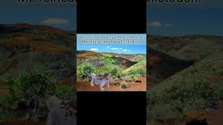 Diictodon art by iguanodentist #memes #prehistoric #funny #edit #video #dinosaur #shorts #lol