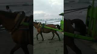 seru nya berkuda di bibir pantai