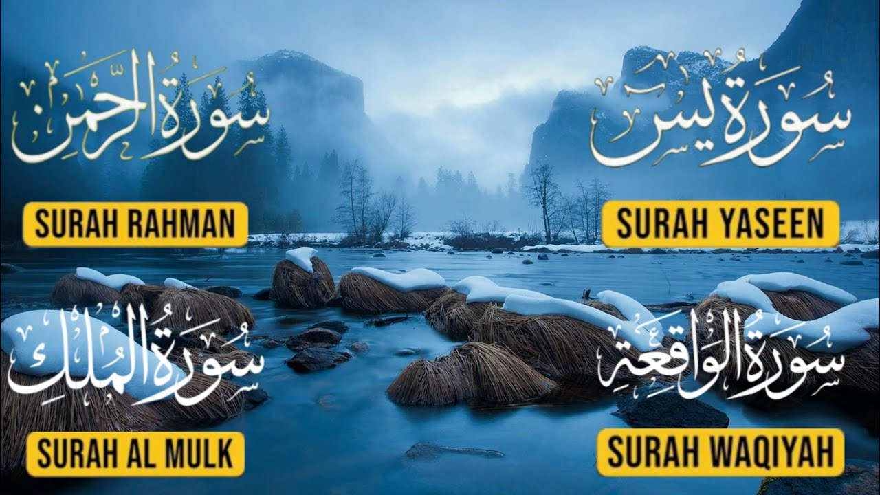 Yaseen, Rahman, Waqiah & Mulk | Surahs of Blessings & Protection | Quran
