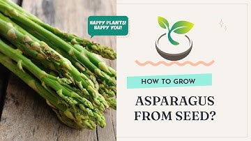 🍀🌸🌿 How to Grow Asparagus from Seed: The Ultimate Guide