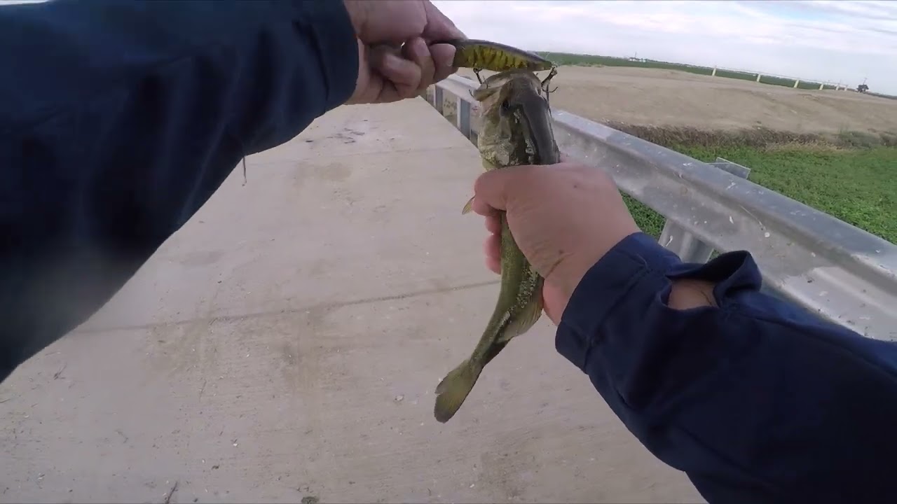 DMC Bass Fishing