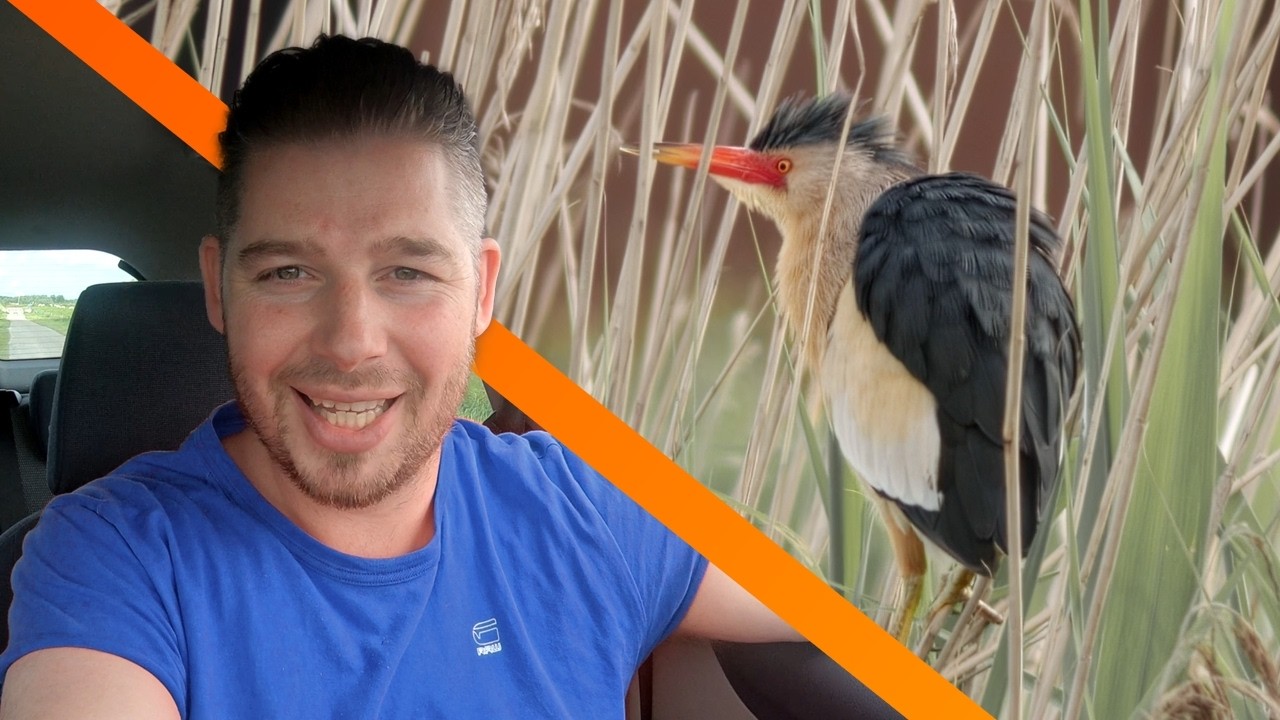 Birds nobody knows about! 😮 (almost 😉)