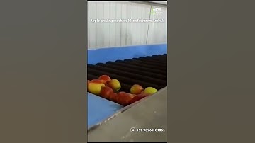 Apple Grading Machine (2023) - 99920-99970
