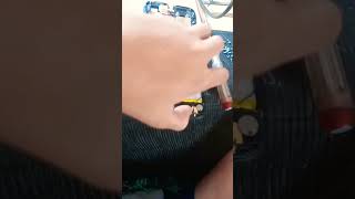 redmi a2 plus nao liga
