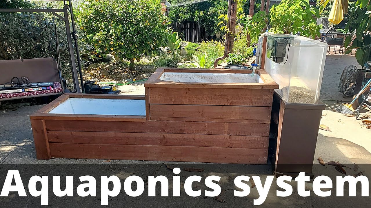 Simple and small aquaponic system design example and set up run-through