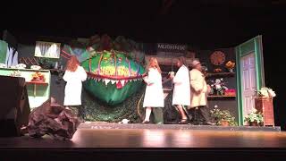 Little Shop Of Horrors-Intro To Finale Urchins