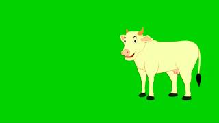 cartoon cow green screen no copyright clame /cow green screen/how making cartoon/cartoon animation