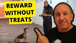 Training Your Puppy WITHOUT TREATS!!