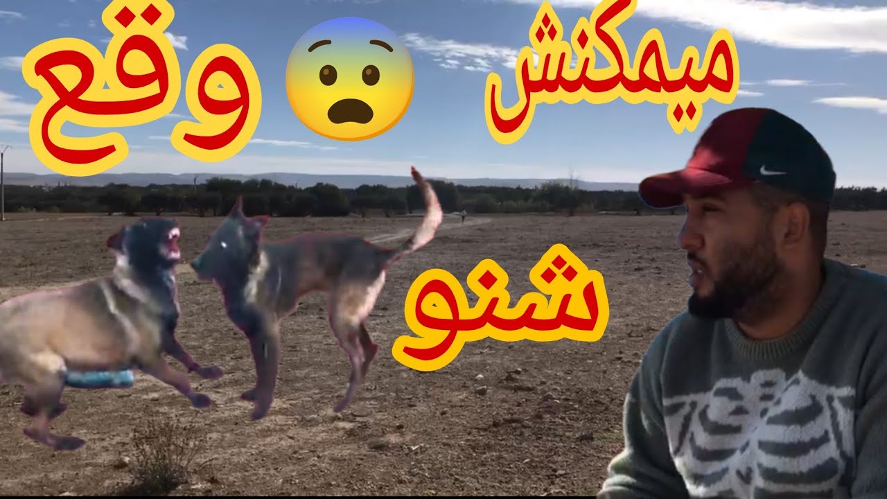 وأخيرا جبت عريس🤴🏻 ل eva ميمكنش شنو وقع😨