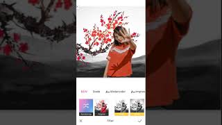 Digital Painting With Your Picture? Easy Peasy With Makaron! screenshot 5