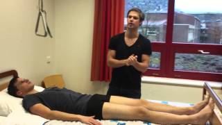 Osv 6 Benoem 6 Spiergroepen Met Origo En Insertie En Functie