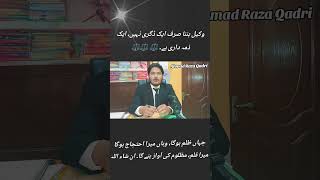 lawyer advocate llb lawexam