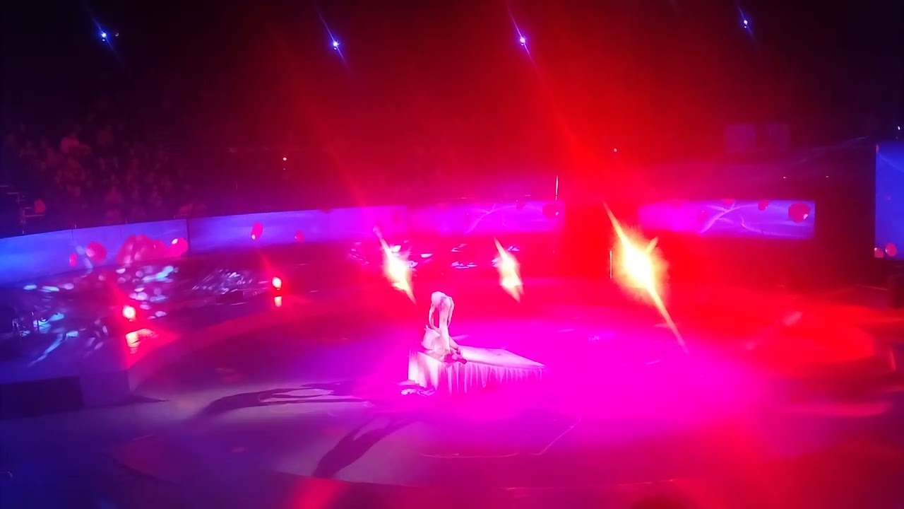 Circul Metropolitan București partea 7