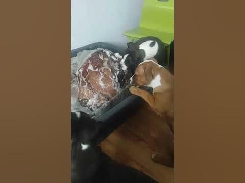 Будет что-то типо обеда - YouTube