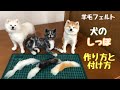 羊毛フェルトの犬【しっぽの作り方と付け方】3色の秋田犬