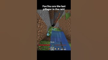 You are the last pillager in the raid  #minecraft #memes #gaming #shorts
