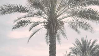 The Beach Collection by Soft Gallery screenshot 2