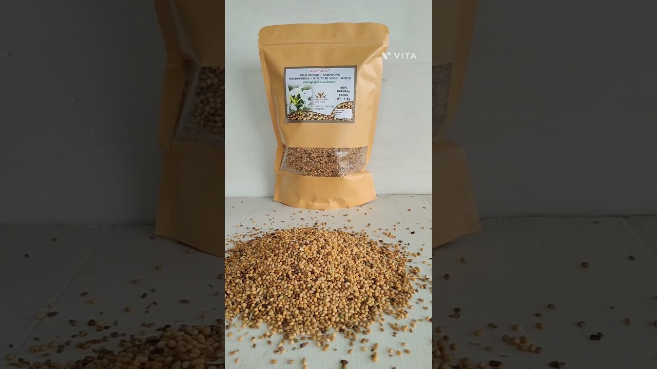 Wild Indigo / Sarphonk Sharpunkha / Kolinchi Seeds - White