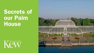 Secrets of our Palm House