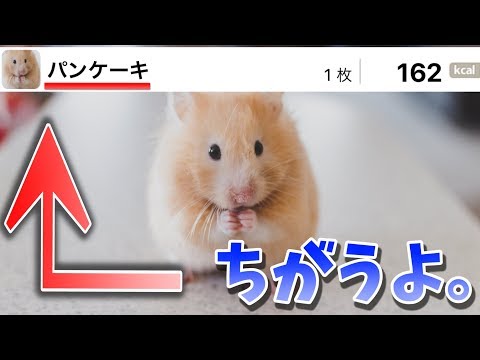 写真でカロリーが分かるアプリにツッコミどころありすぎた