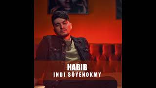 Habib - Indi Soyenokmy 2021 Resimi