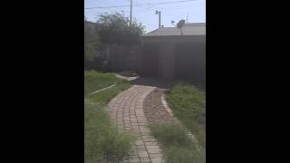 2602 N 8th St Phoenix AZ(2)