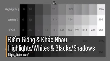 Điểm khác nhau giữa Highlights &  Whites, Blacks & Shadows | Tizino Academy