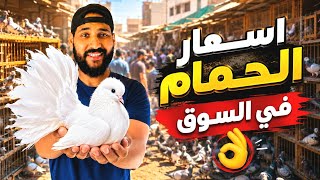 اسعار جميع انواع الحمام👌من سوق الجمعة😍