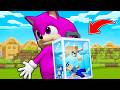 Kız Bebek Sonic'in Çantasının İçinde Ne Var? -Minecraft