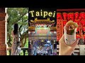 🇹🇼 이 여자 또 혼자 여행 갔단다,, 3박4일 타이페이 : Taipei VLOG | 버블티 누가크래커 동파육버거 샹창 우육면 내가 다 먹음🐷 | 또 엔플라잉 콘서트 맞음🎸