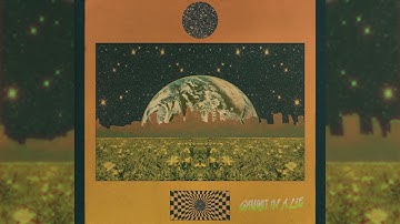 The Hics - Caught In A Lie