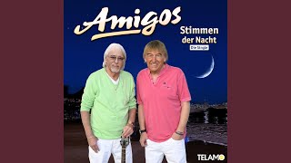 Stimmen der Nacht - Amigos
