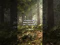 Islamic quotes| Islamic message|#islamicvideo #shortvideo #shorts