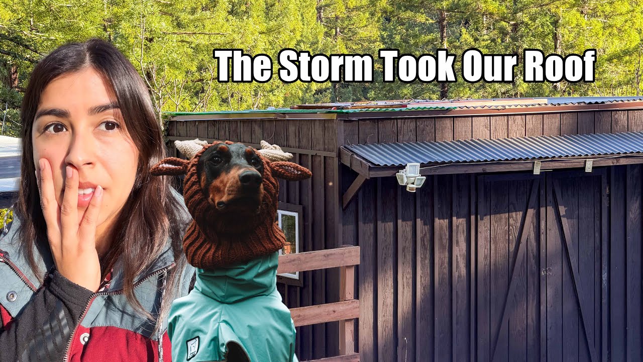 A Cozy Day at the Homestead Ended in Storm Damage