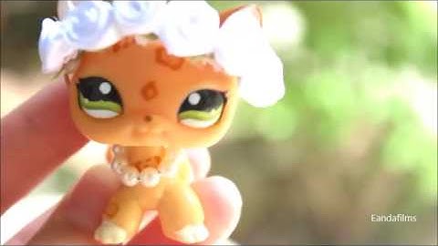 LPS: Stay part 10 for starry_lps