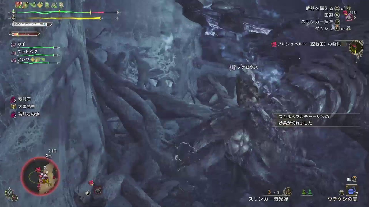 ワイルズ参加型王アルシュベルト😊