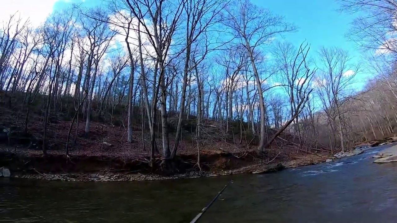 Trout Trout Caught At Run Maryland YouTube