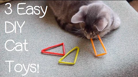 3 Easy DIY Cat Toys!