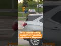 A Bear Was Seen Running Across The Denny S Parking Lot In Rogers Minnesota Friday Shorts Kare11 A Bear Was Seen Running Across The Denny S Parking Lot In Rogers Minnesota Friday Shorts Kare11