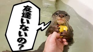 カワウソとお風呂に入るとすごく切ない気持ちになった・・・