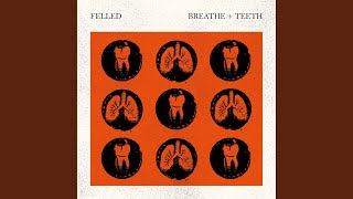 Teeth