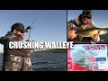 Why have I never used this lure for Walleye before???