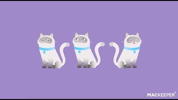 Screenshot on Mac Not Working