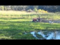 Boggin the mower in the field