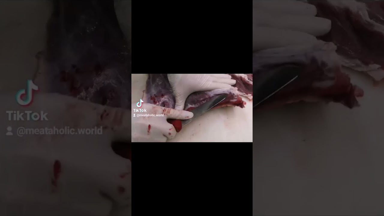 طريقة تحضير الكبه بي افضل نوع لحمة#كبة #كبة_مقلية #كبه #food #meat #yummy #cooking #recipe #recipe