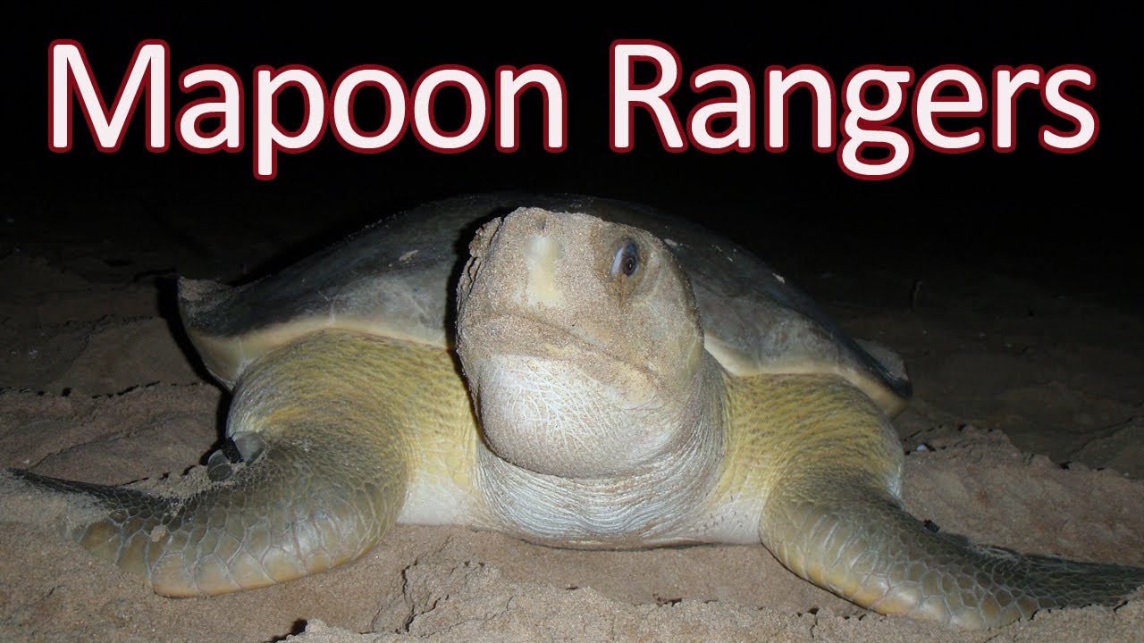 Mapoon Rangers-Cape York, Queensland - YouTube