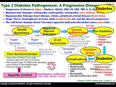 Diabetes Type 2 Pathophysiology Flow Chart